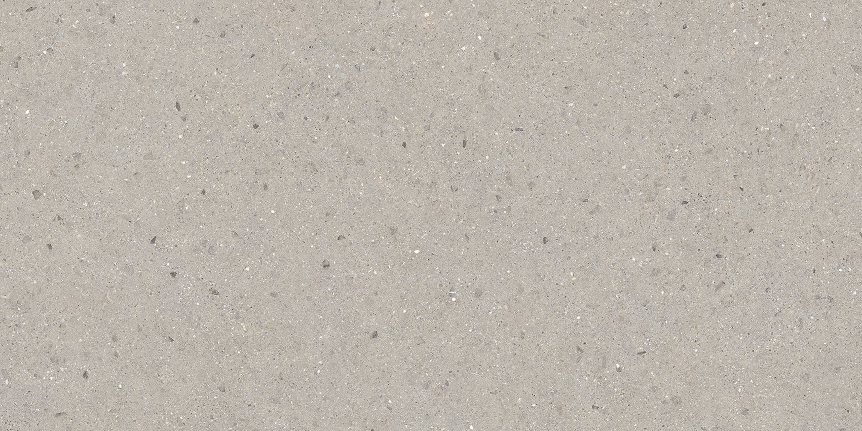 Bergen Cinder 60x120 | Newker