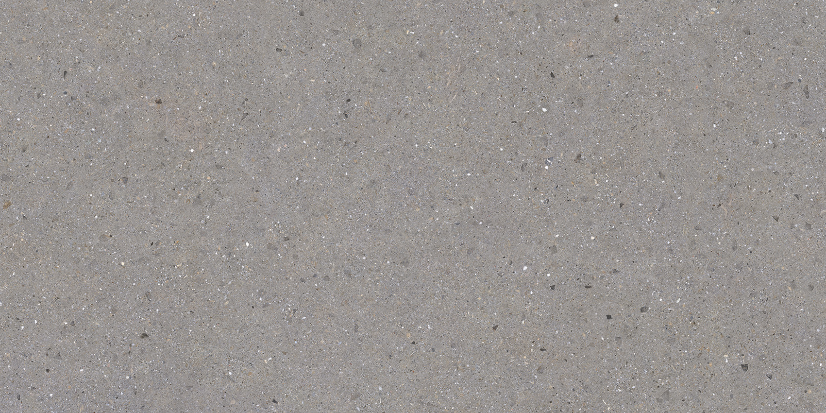 Bergen Grey 60x120 | Newker