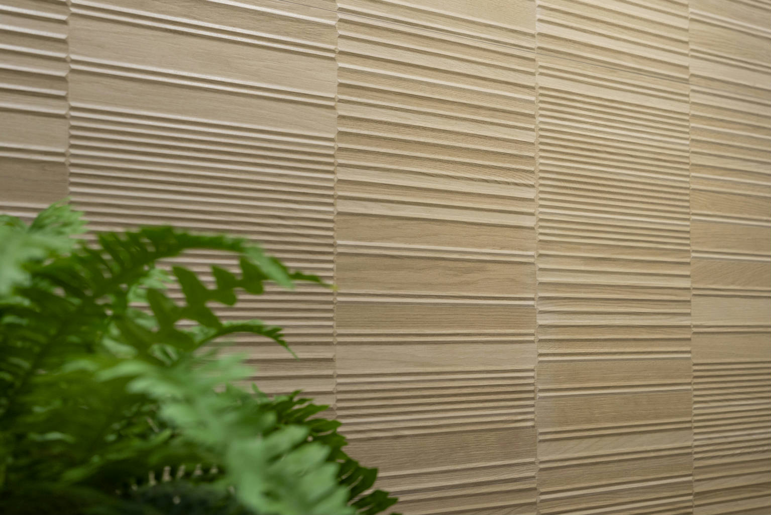 Forest Decor Oak 60x120 | Newker