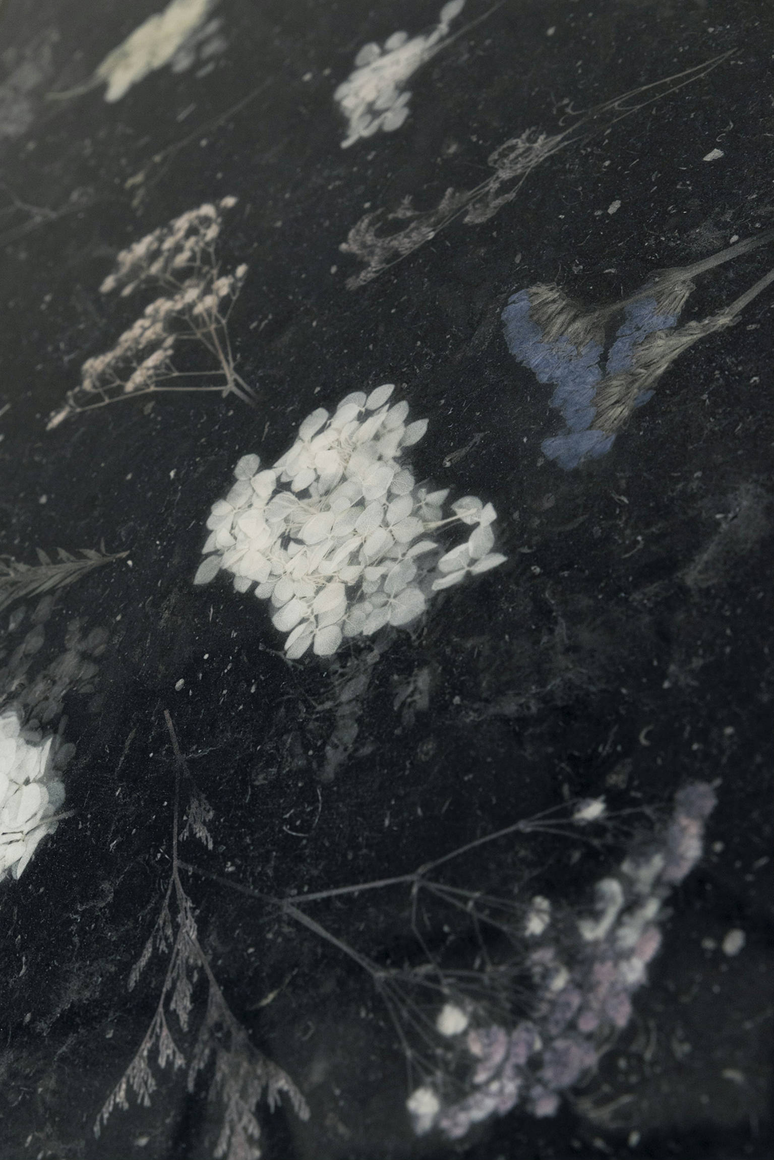 Space Decor Nanotech Black 60x120 | Newker