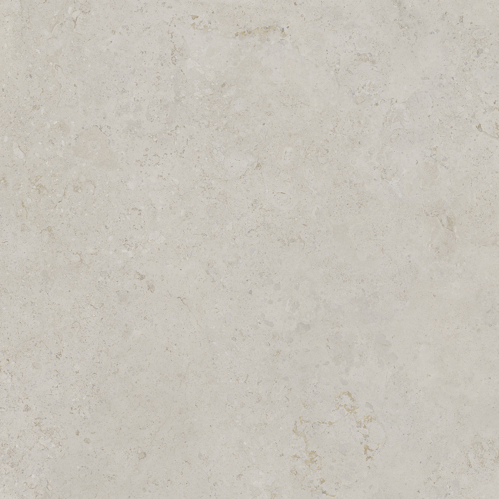 Camper Ivory 120x120 | Newker