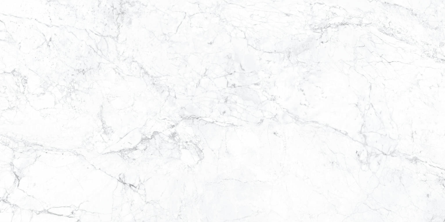 Carrara Nanotech Grey 60x120 | Newker