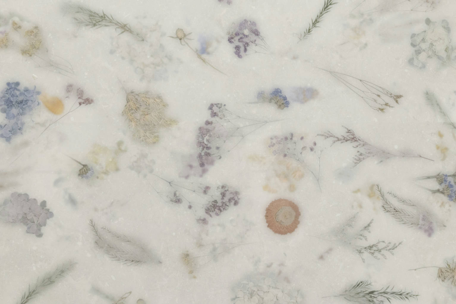 Space Decor Nanotech White 60x120 | Newker