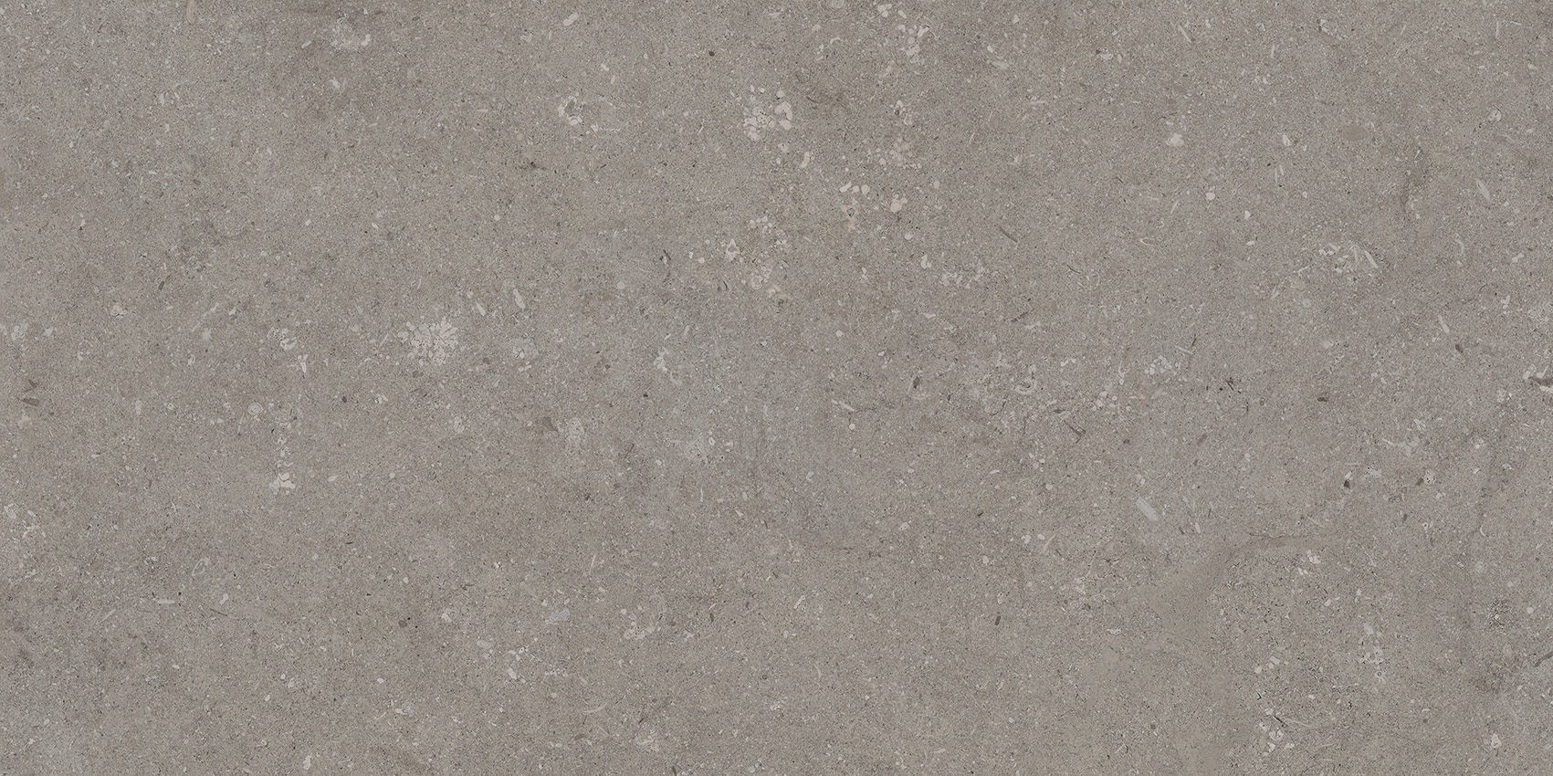 Toscana Grey 60x120 | Newker